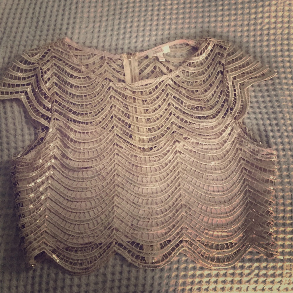 Perfect Dressy Crop Top